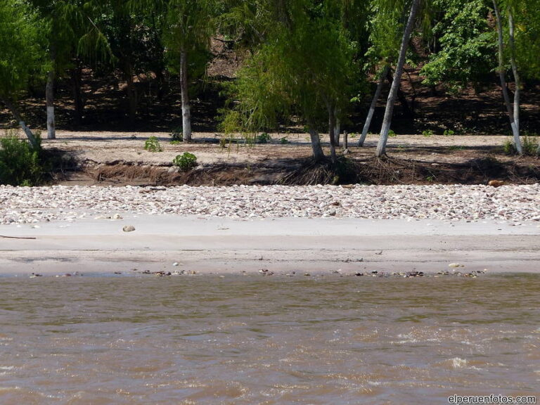 rio mayo 003